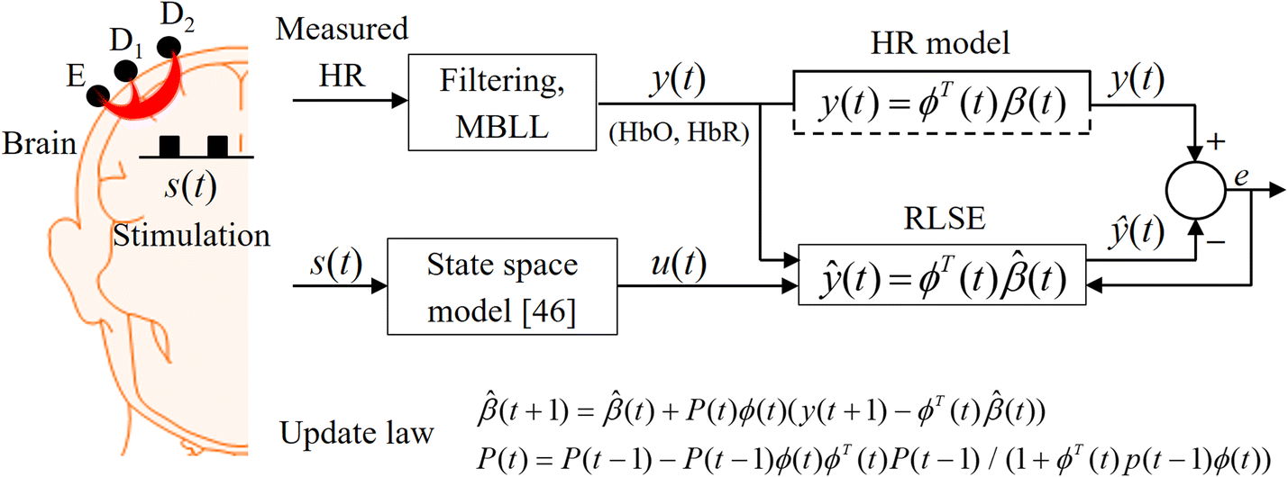 Fig. 1