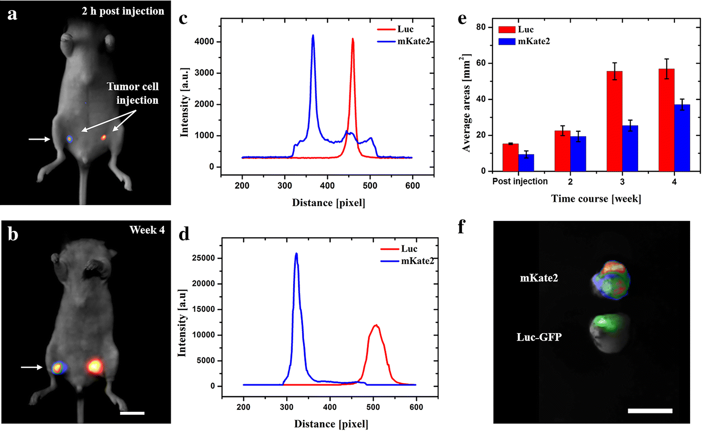 Fig. 2