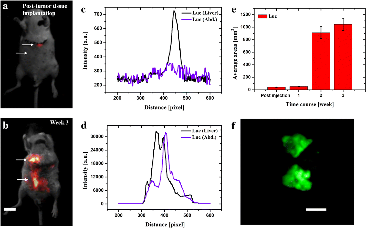 Fig. 4