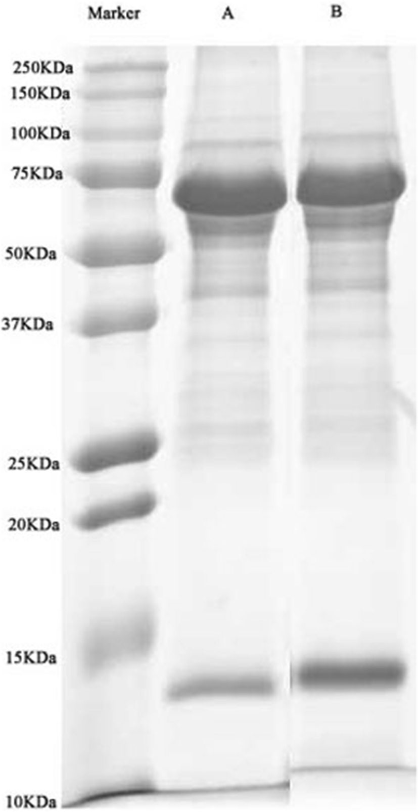 Fig. 2