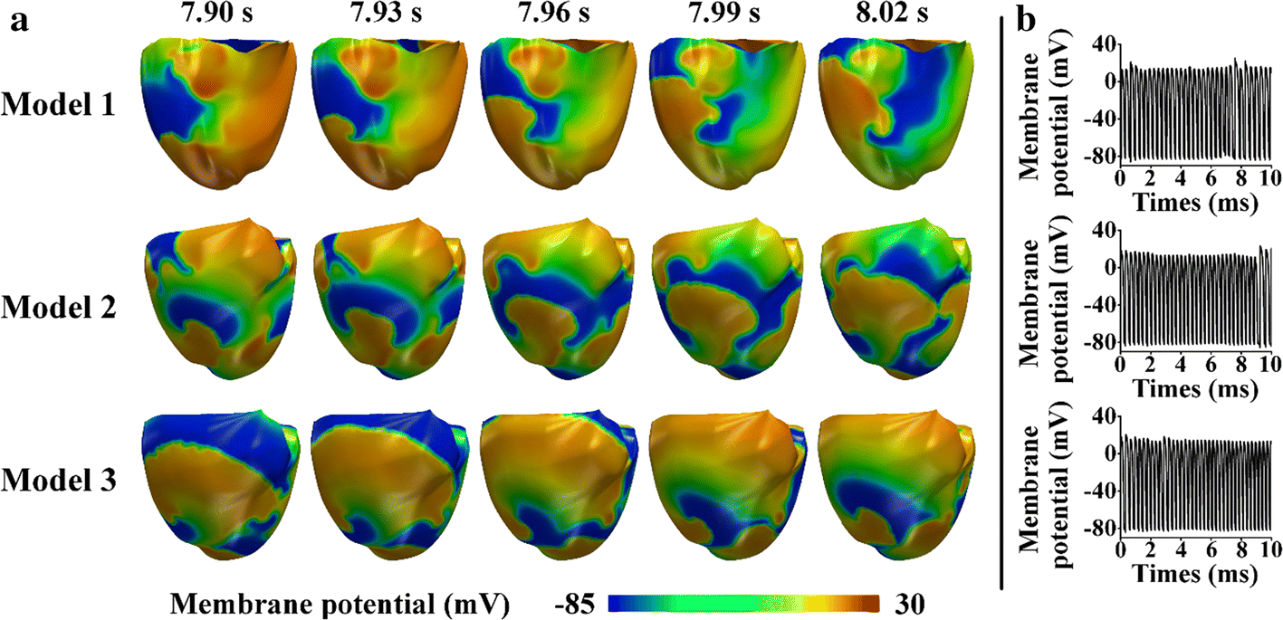 Fig. 6