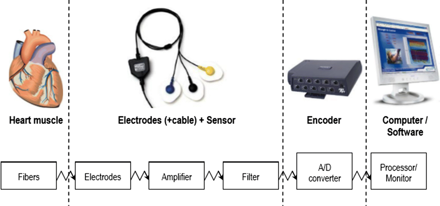 Fig. 2