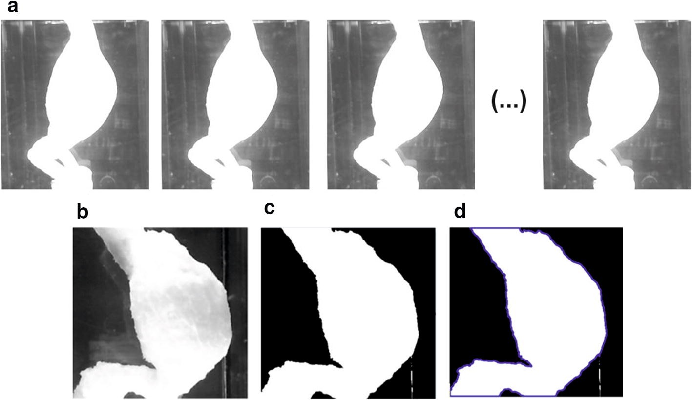 Fig. 5