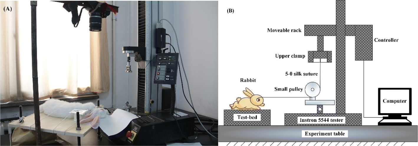 Fig. 1