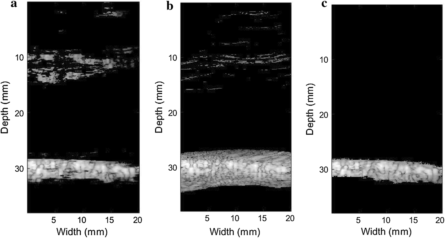 Fig. 4