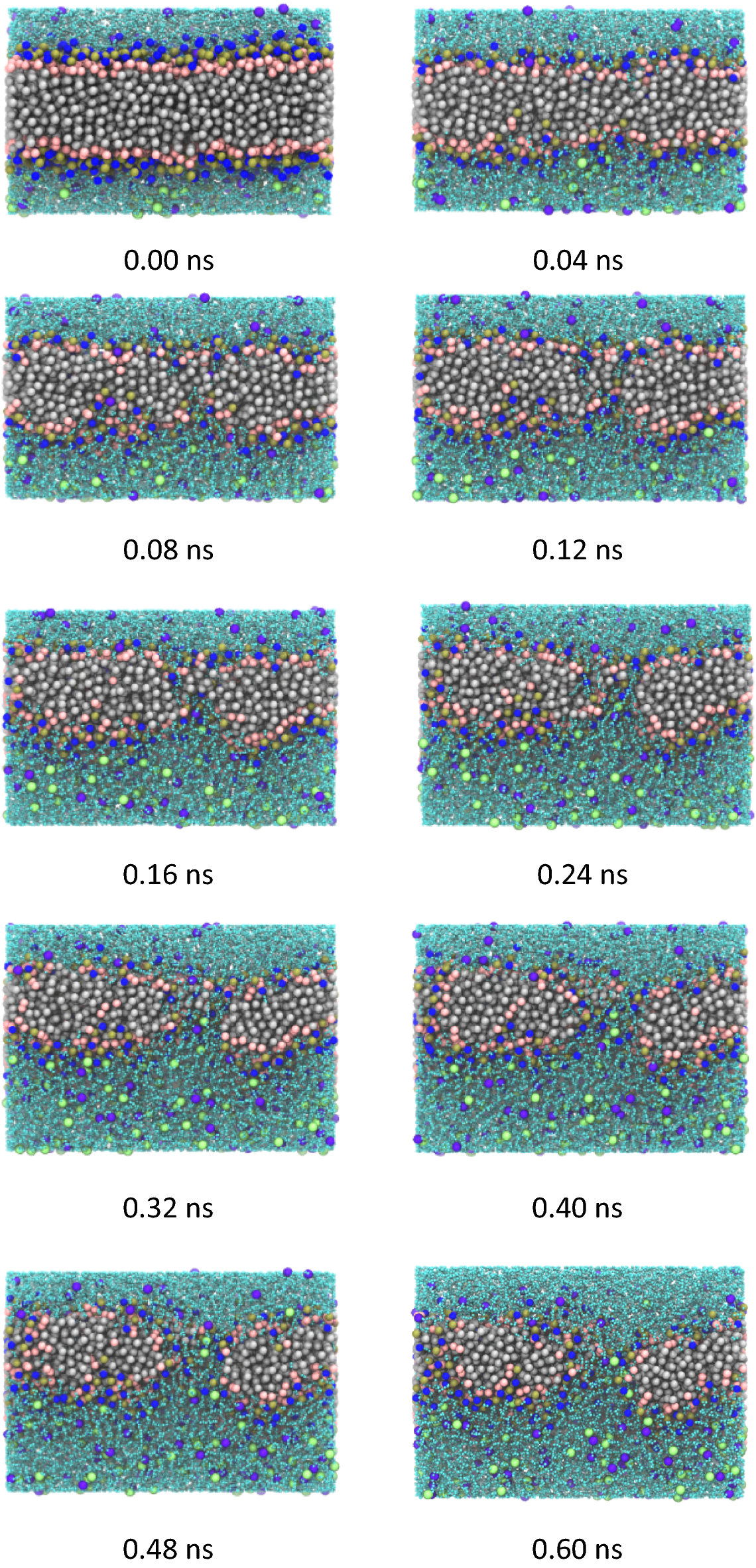 Fig. 3