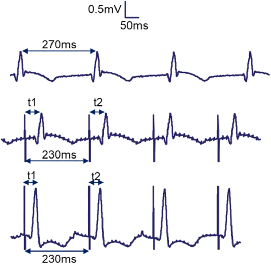 Fig. 3