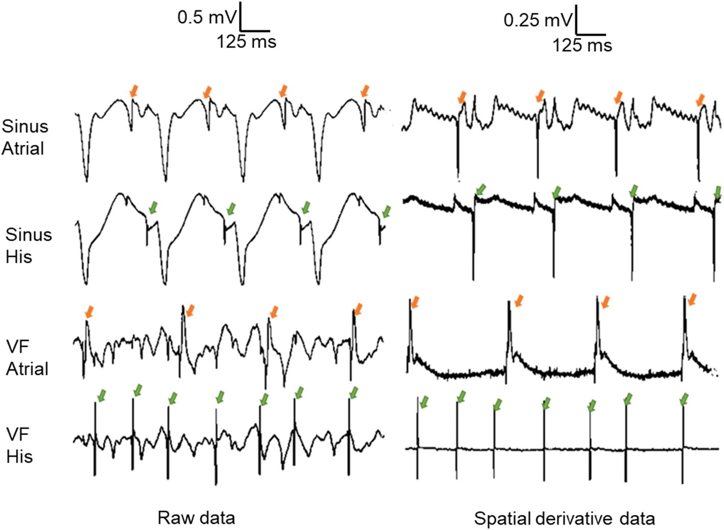 Fig. 6