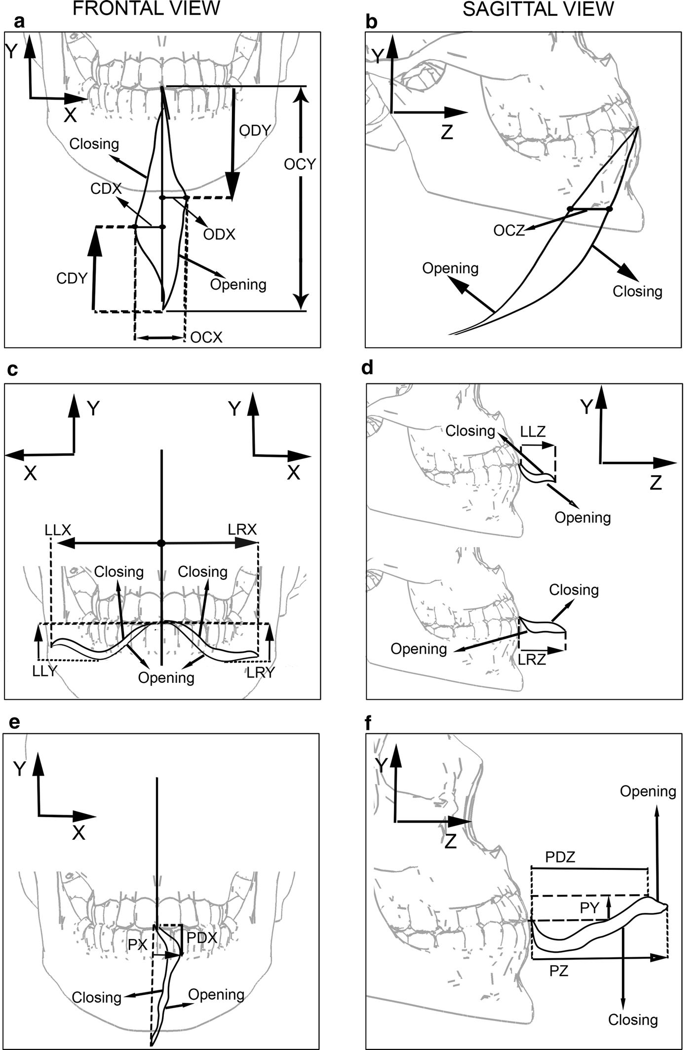 Fig. 2