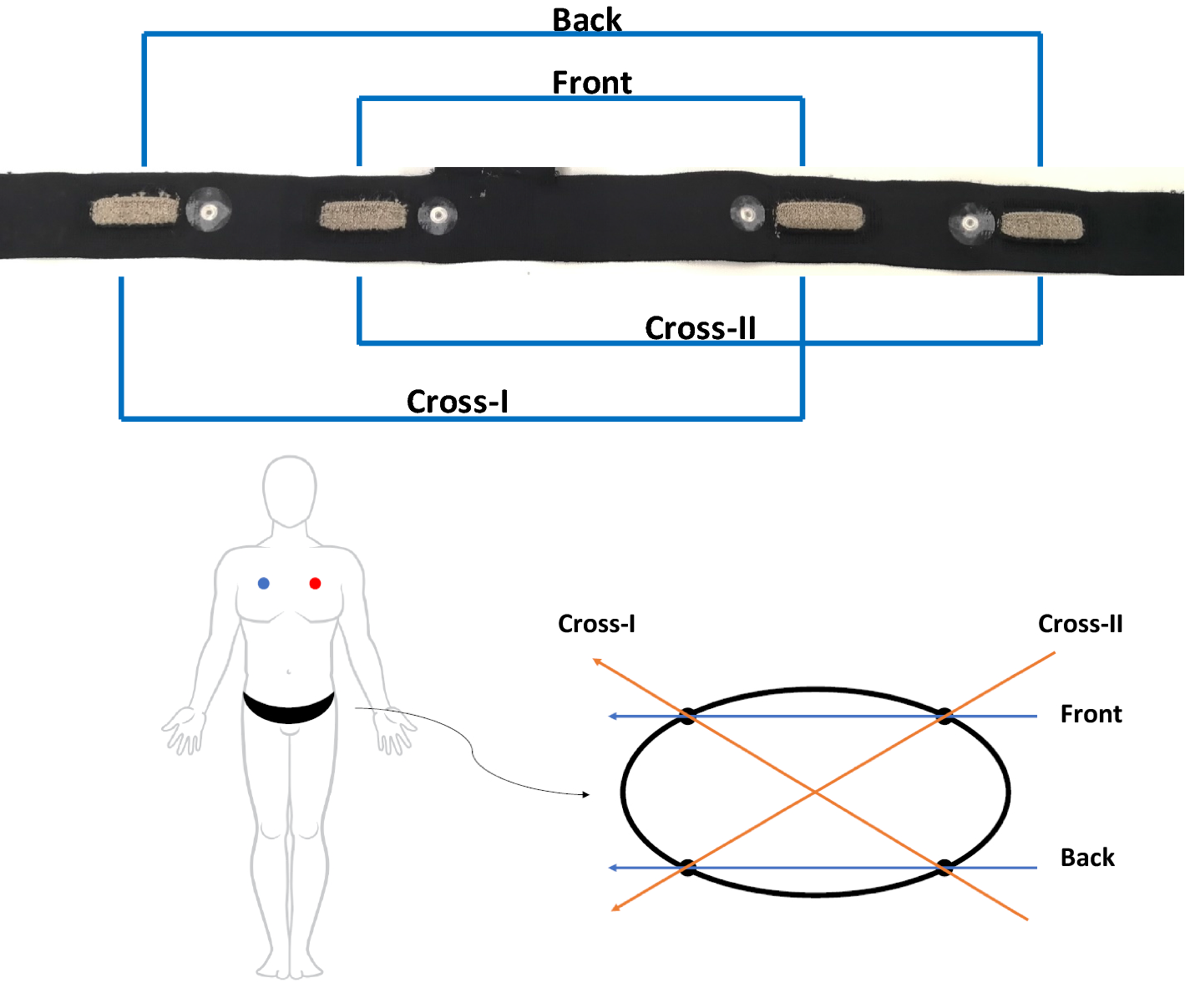 Fig. 10