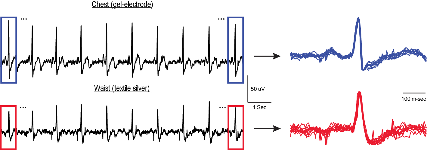 Fig. 7