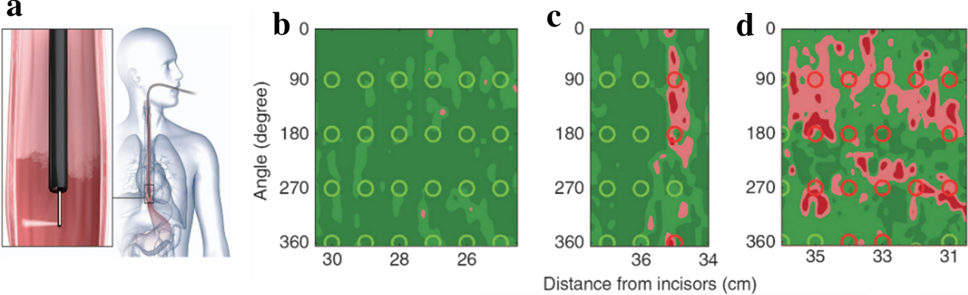 Fig. 10