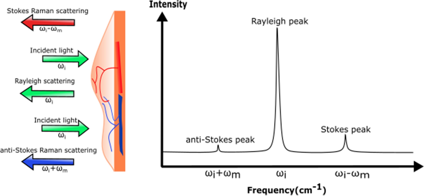 Fig. 11