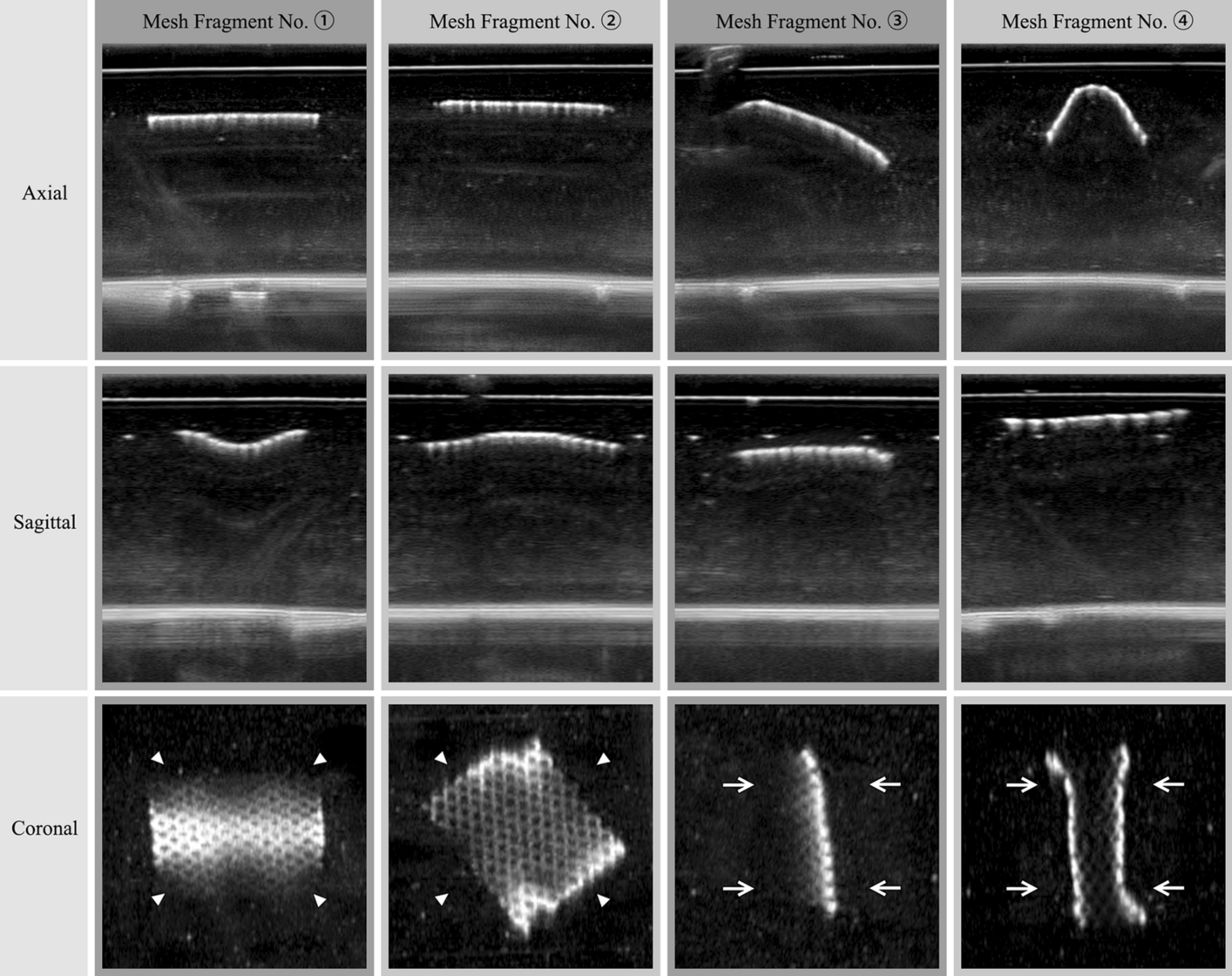 Fig. 7