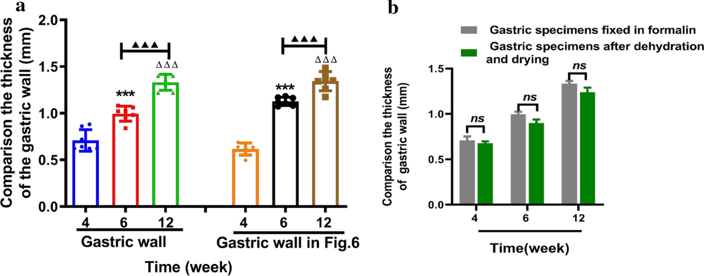 Fig. 7