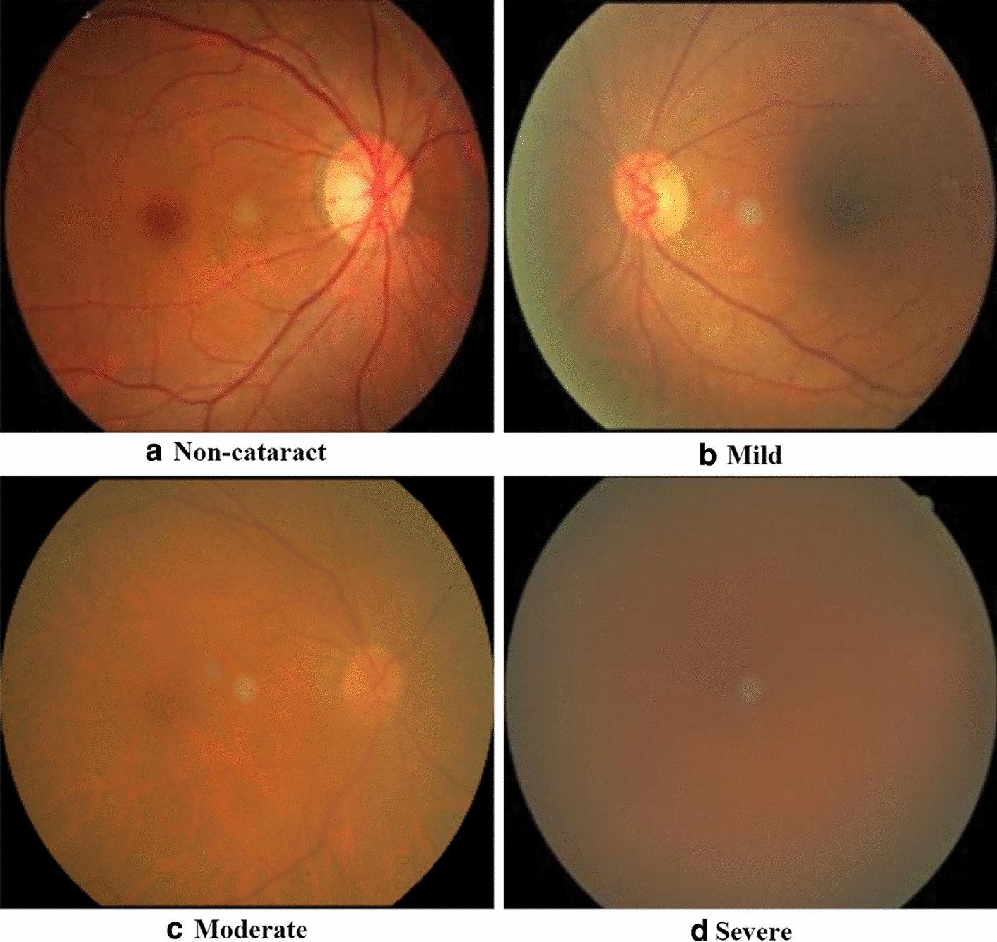 Fig. 10