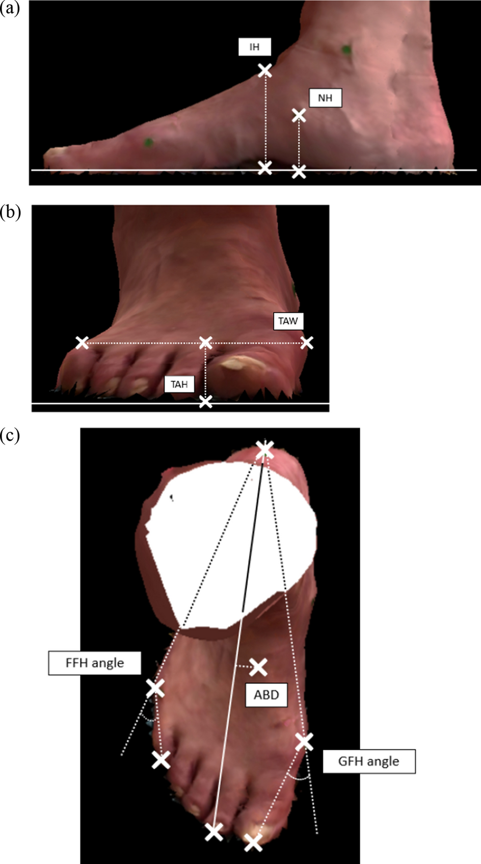 Fig. 2