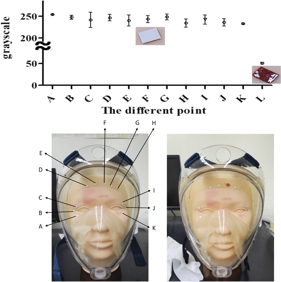 Fig. 3