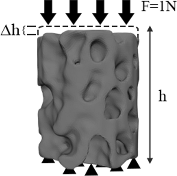 Fig. 10