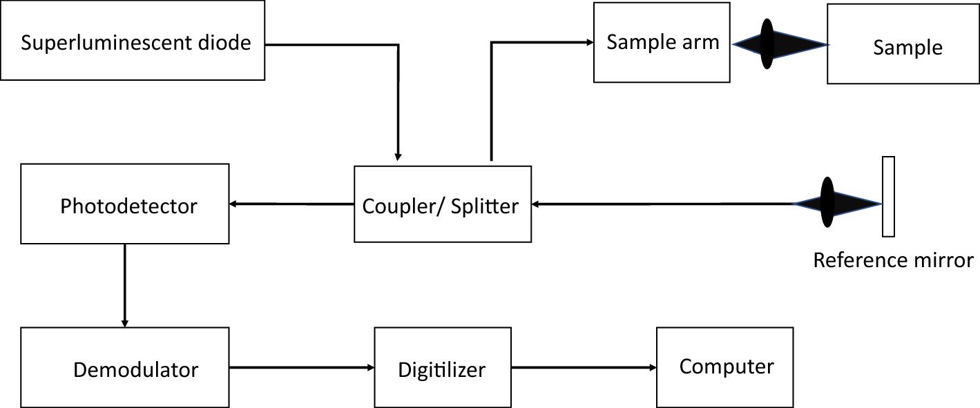 Fig. 2