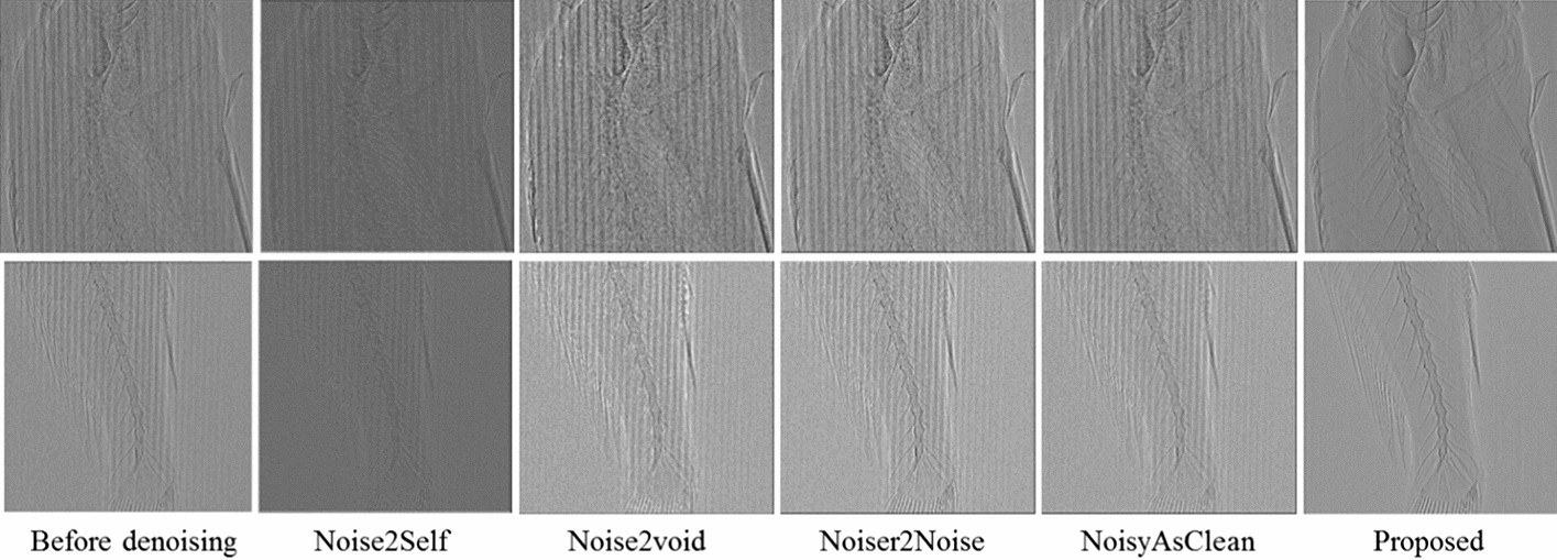 Fig. 10