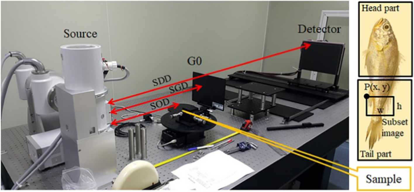 Fig. 12