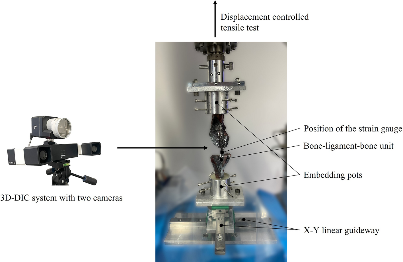 Fig. 2