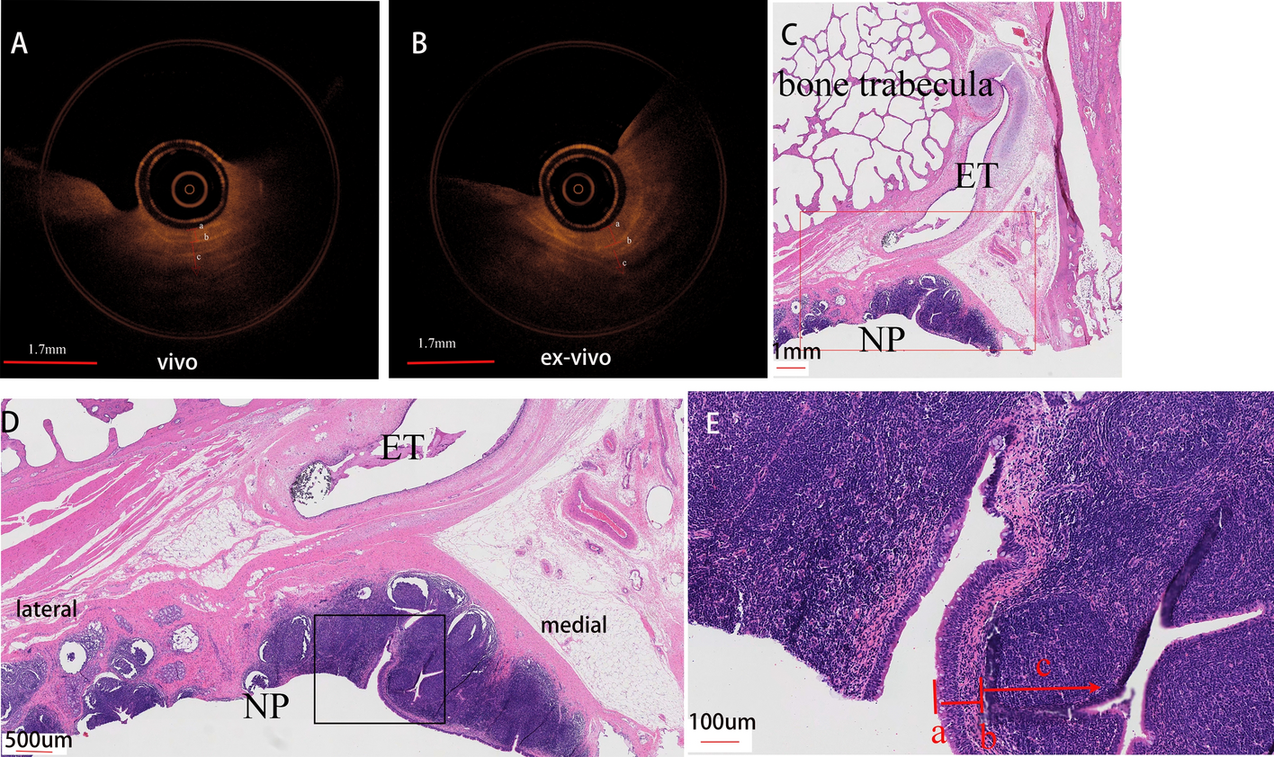 Fig. 4