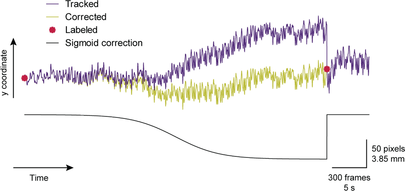 Fig. 11