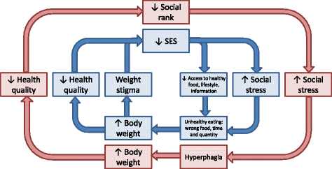 Fig. 5