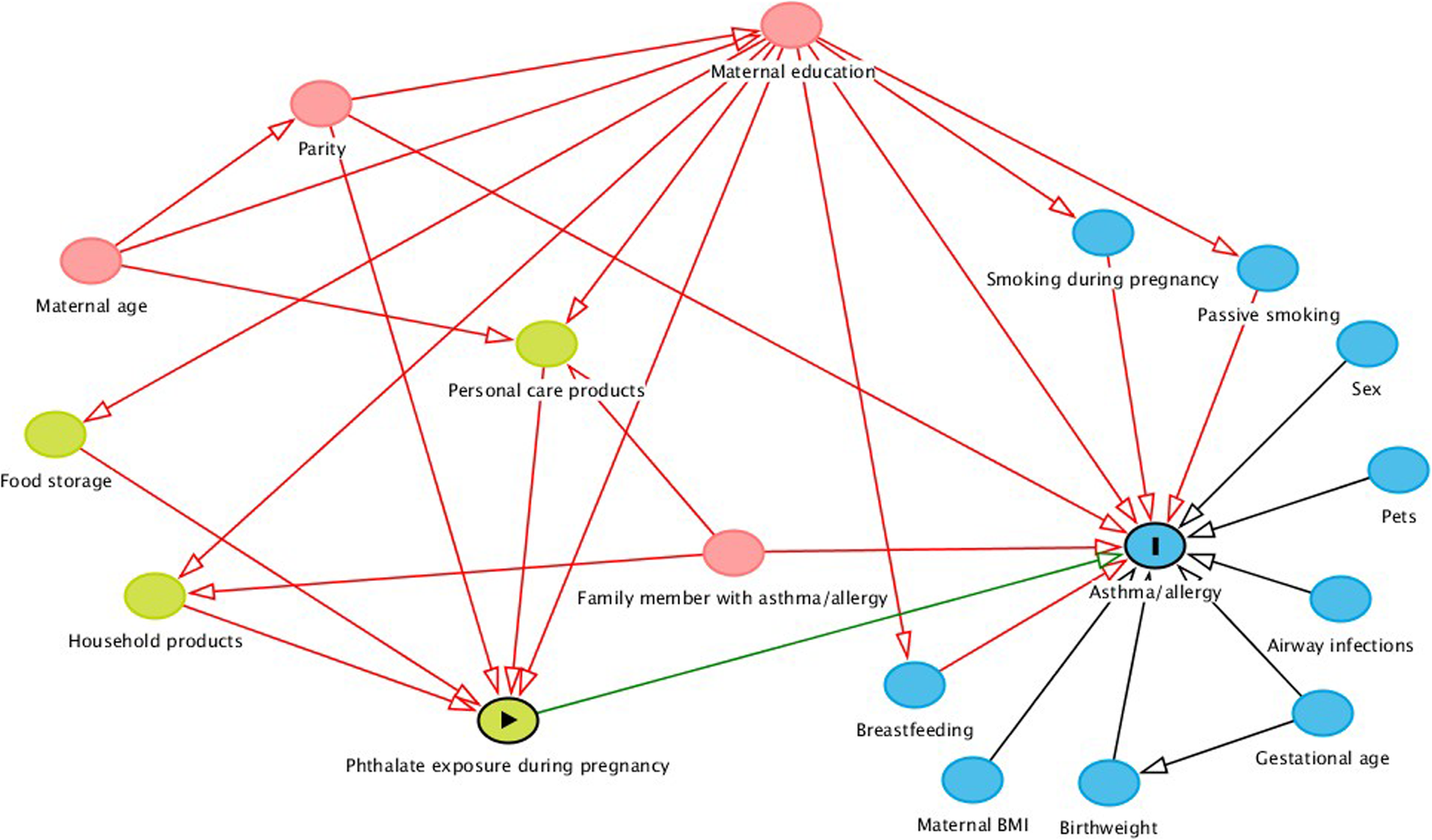 Directed acyclic graph showing the link between the different modelling