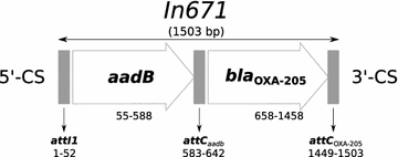 Fig. 1