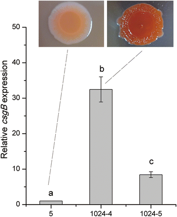 Fig. 3