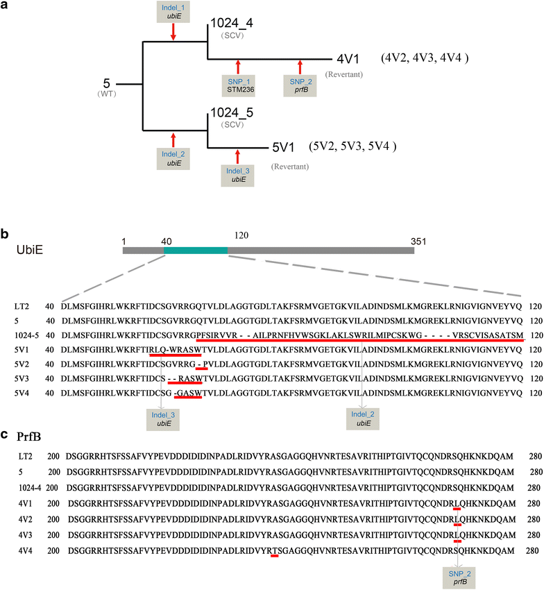 Fig. 4