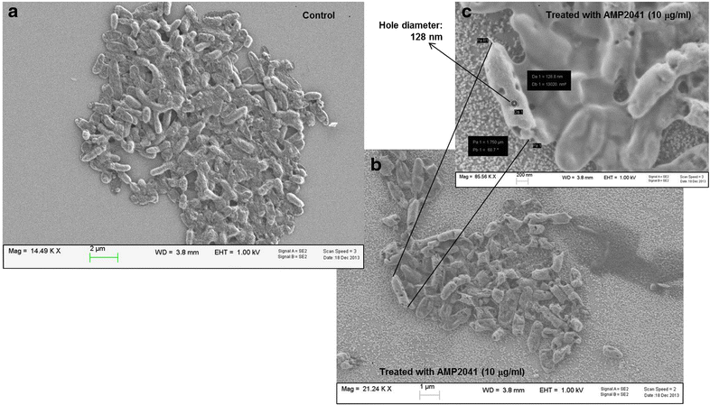 Fig. 3