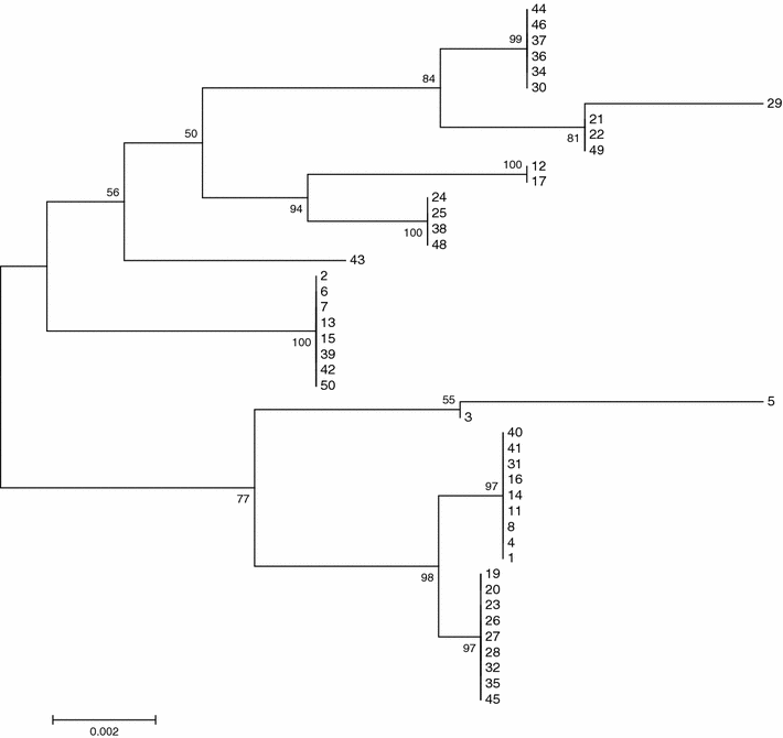 Fig. 2