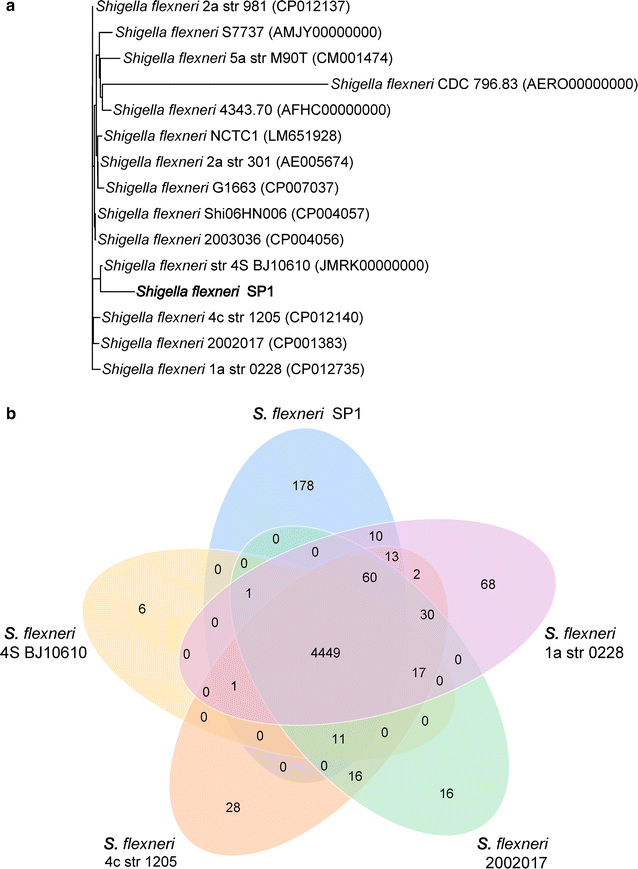 Fig. 3