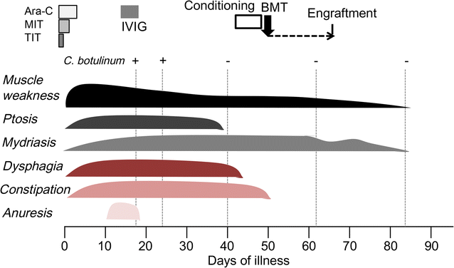 Fig. 1