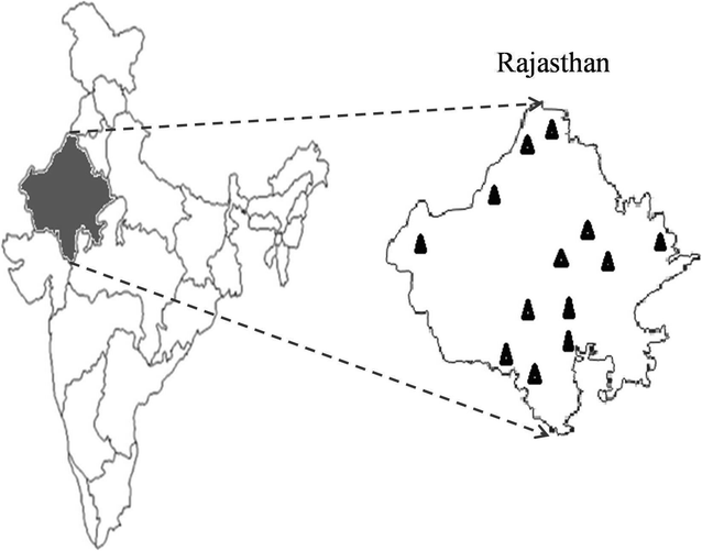 Fig. 1