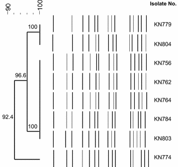 Fig. 2