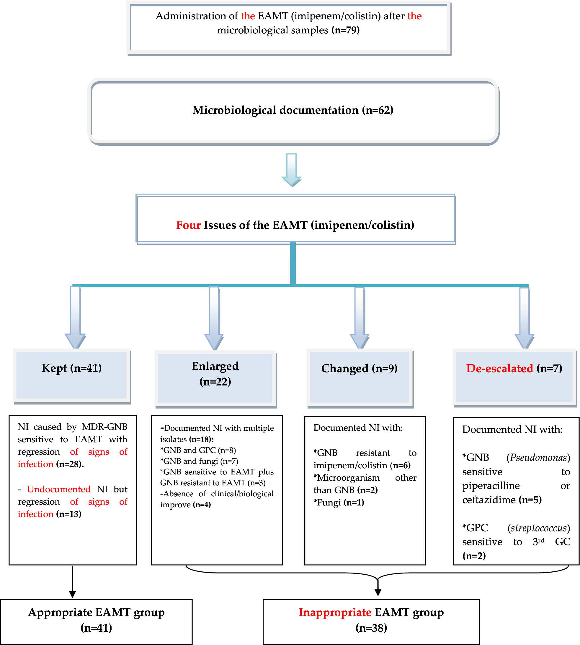 Gram Negative Cocci Flow Chart