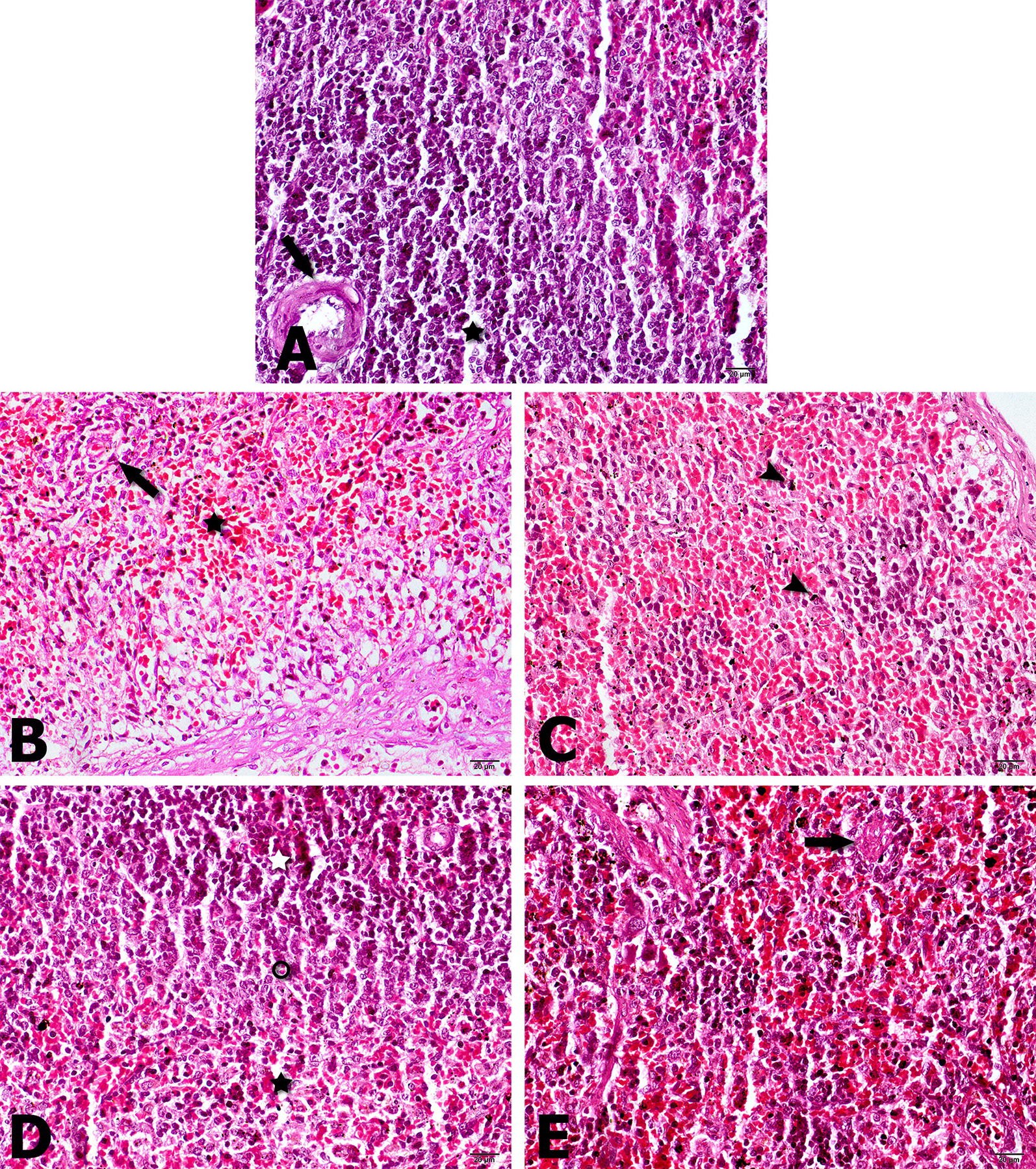 Fig. 4