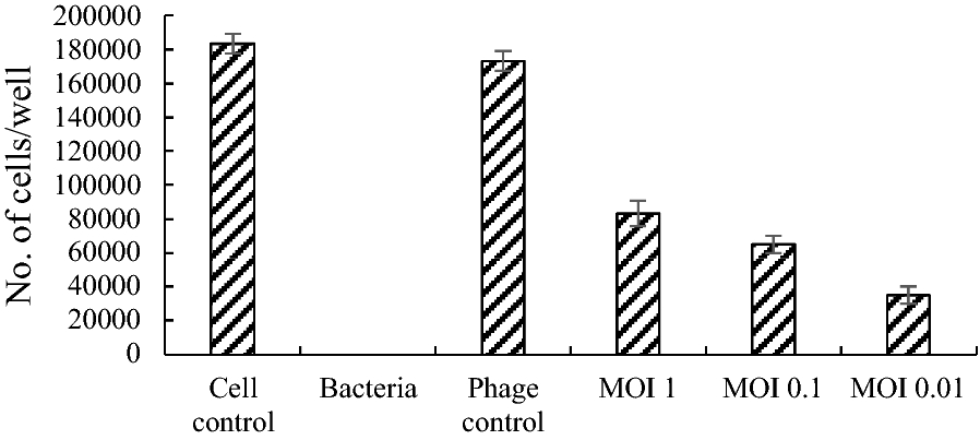 Fig. 12