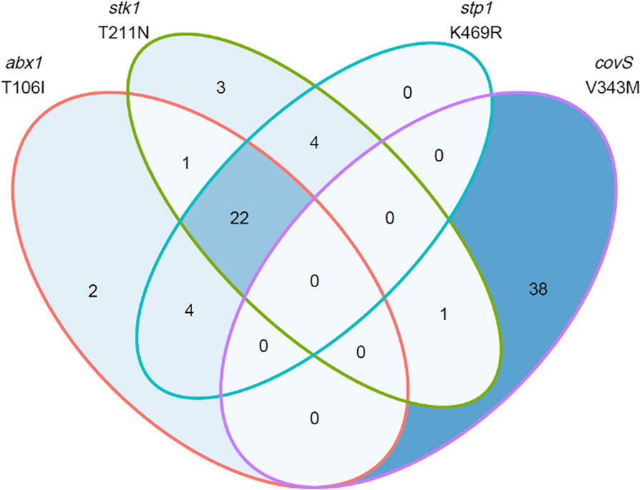 Fig. 8