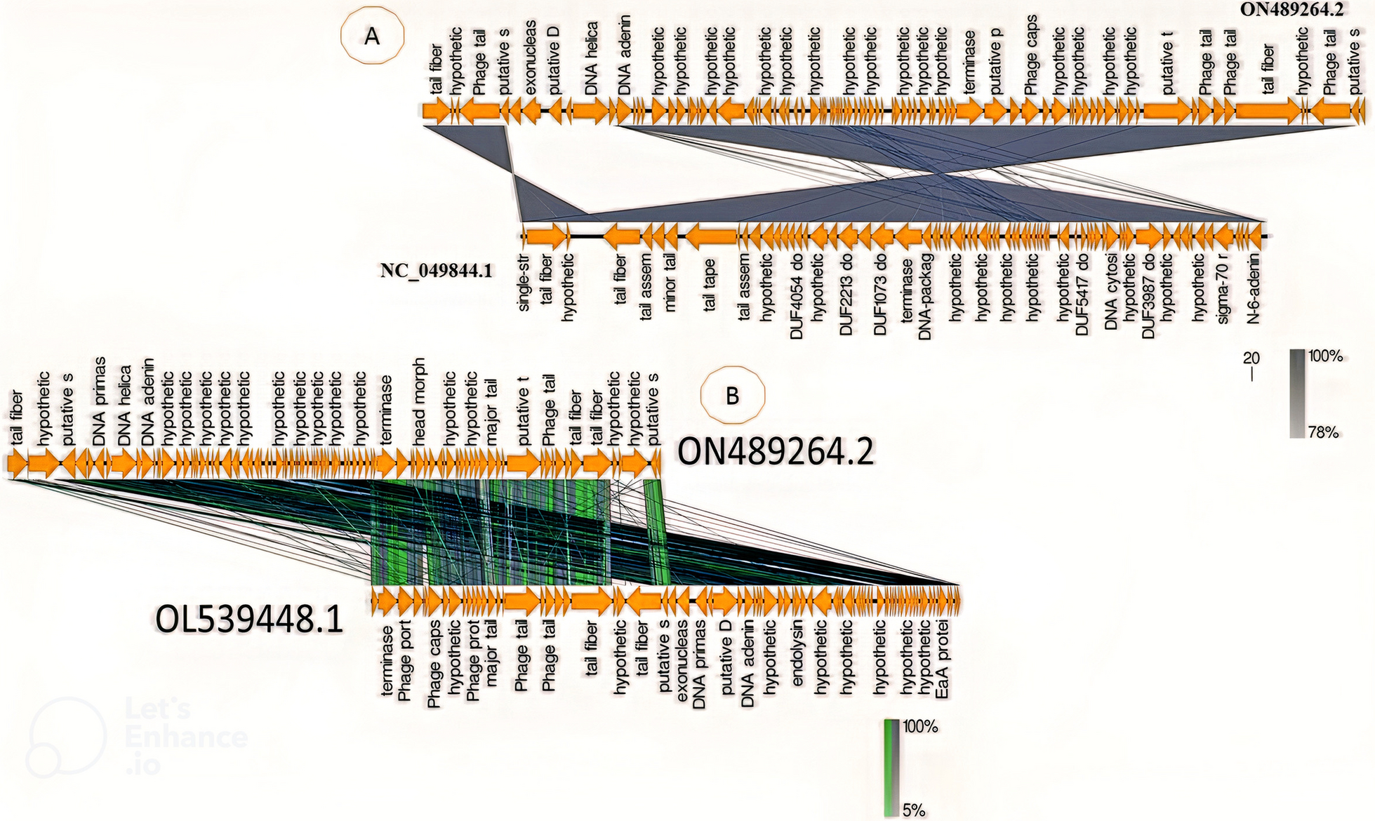 Fig. 15