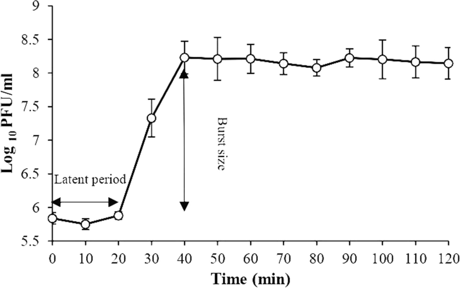 Fig. 8