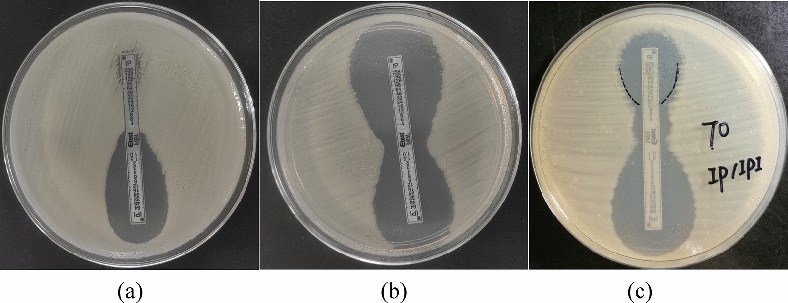 Fig. 4