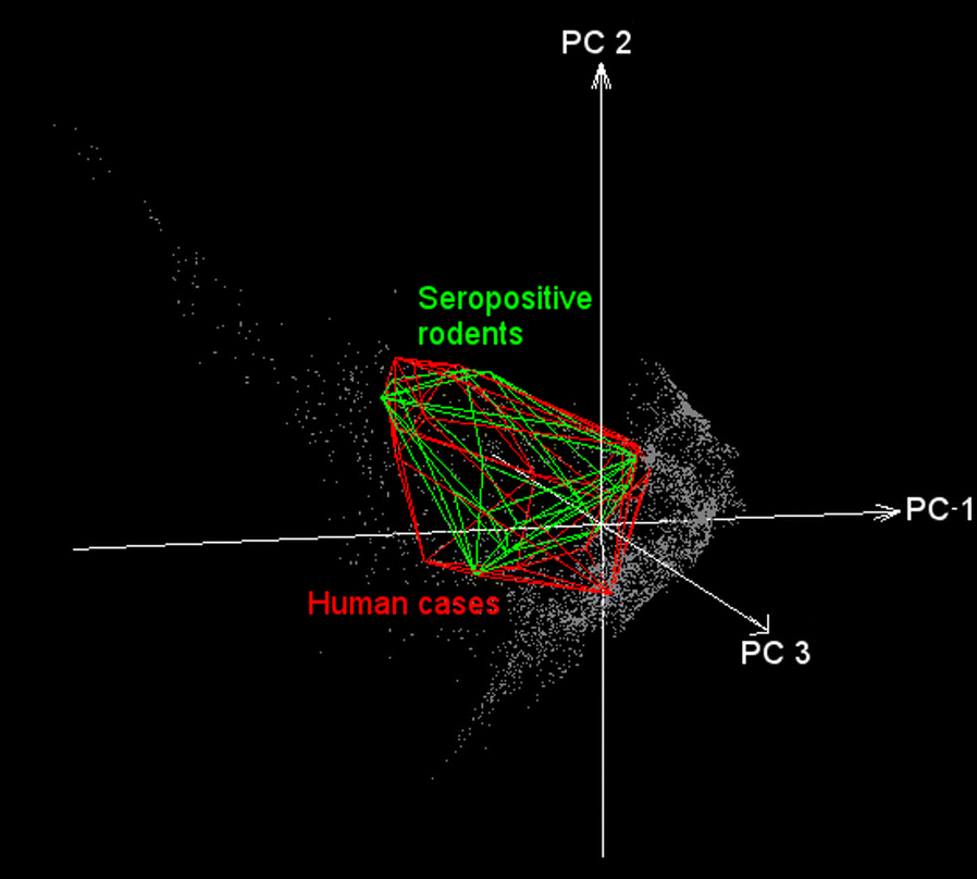 Fig. 5