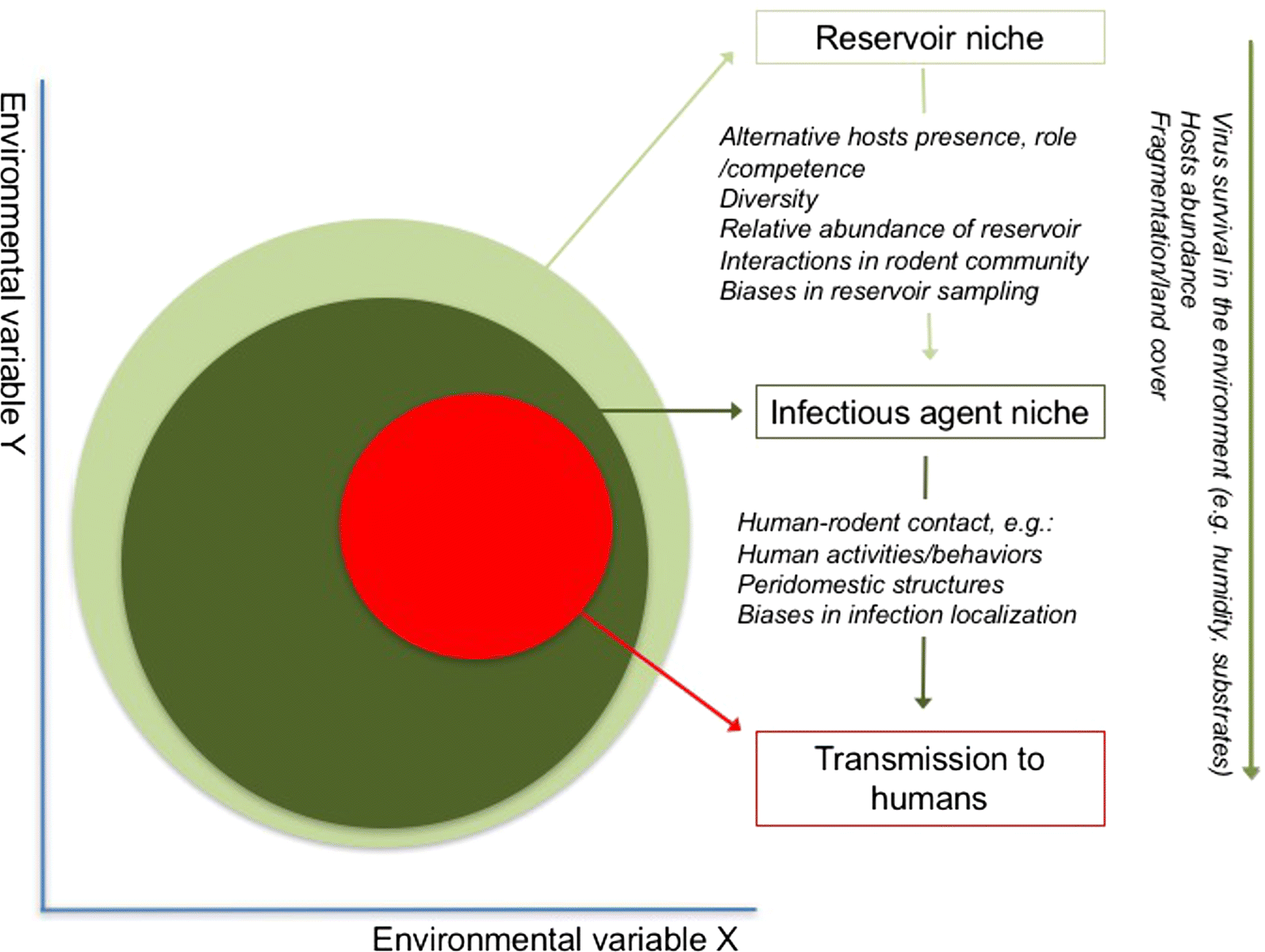 Fig. 6