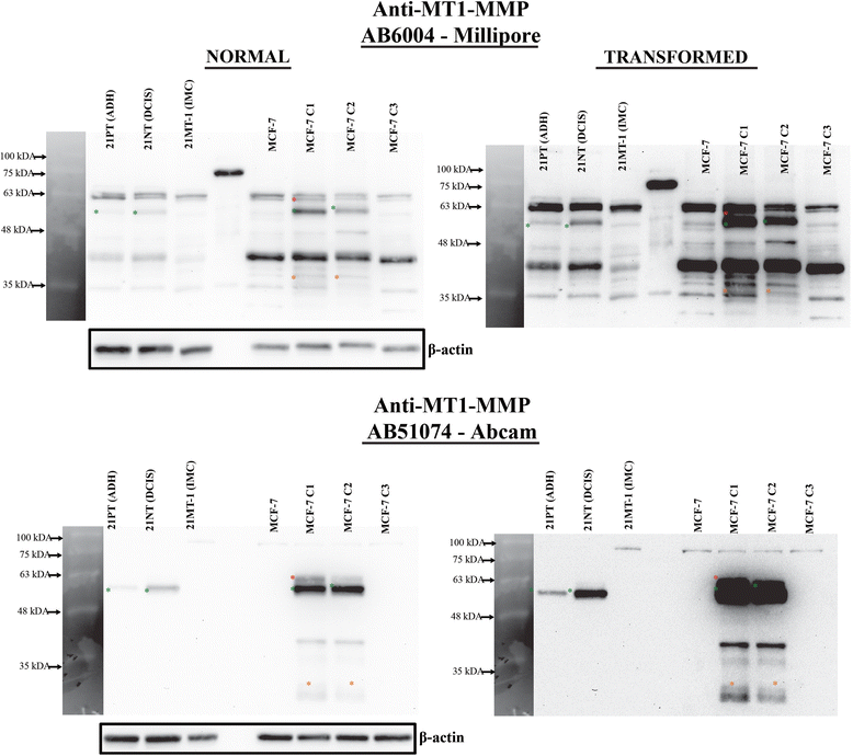 Fig. 13